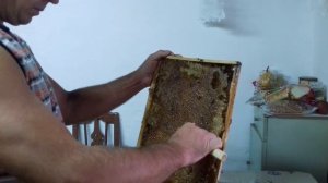 Использование засахарившихся сот!!!