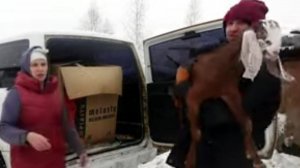 ШЕЛУПОНЬ СБЕЖАЛА А МЫ ЭЛИТА В РОССИИ ОСТАЛИСЬ