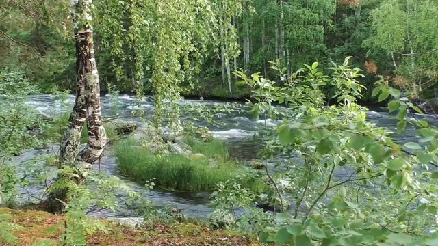 РАЗВОД ИЛИ ПРИМИРЕНИЕ.ДИАНА И ЛЕША.КАНАЛ MISS VONG