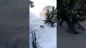 Санта фе дизель 2.2 холодный запуск