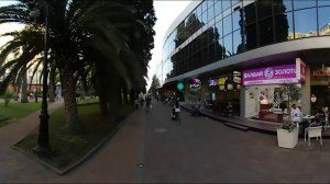 Сочи. Платановая аллея. 360*