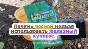 Почему весной нельзя использовать железный купорос.🌼