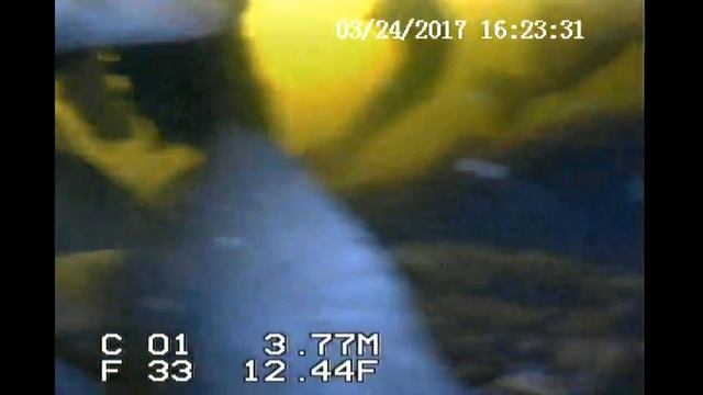 Подводные съемки рыбы! Волга, Марий Эл, г.Козьмодемьянск. Дубовая! Видео подводная камера! смотреть онлайн