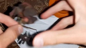 Необычные растения со Стёпой. 3 серия - Кислица рожковая.