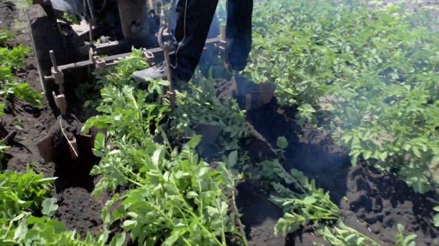 Самодельный трицикл мотоблок смотреть онлайн