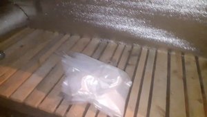 БЮДЖЕТНАЯ выгонка зелёный лук на перо выращивание зимой в гараже сорт