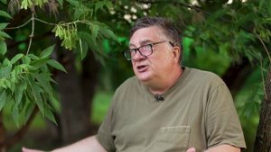 Самое вредное дерево?