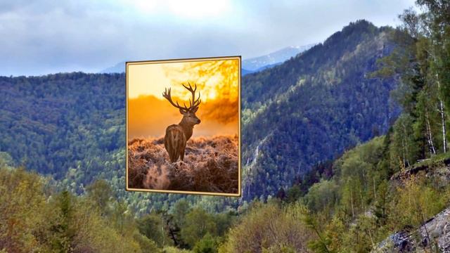 урок 9 Ключевые кадры #4. Замена изображений смотреть онлайн