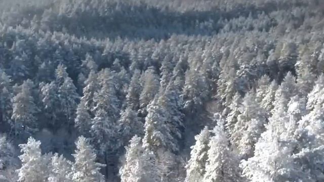 смотровая вышка