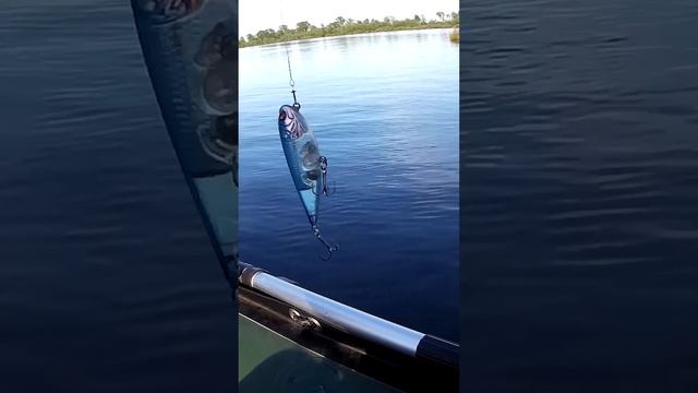 Как освободить воблер из кустов смотреть онлайн