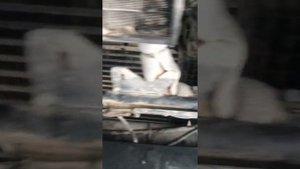 Установка подогревателя ( котёл) 220 В