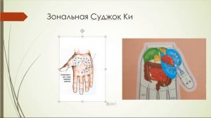 Лечение методами Суджок на примере запоров.