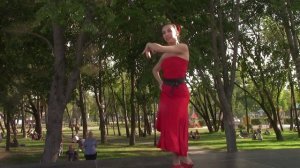 Фламенко | танец | День Индии | Москва