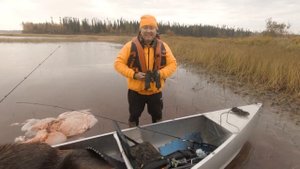 Охота на лося в Канаде 2022. Hunting moose in Canada 2022.