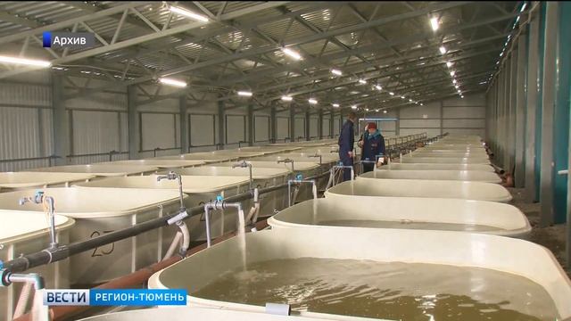 Совместные усилия властей и предприятий помогут восстановить биоресурсы рек смотреть онлайн