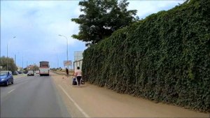 Крым, Феодосия, Береговое в августе. Пляж и море за дорогой