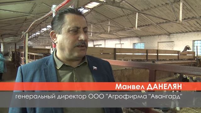 2022/04 – Растёт поголовье тоггенбургских коз смотреть онлайн