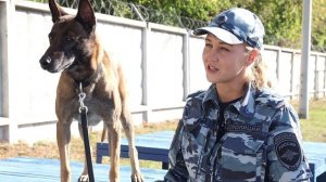 Кинолог Ирина Муковоз и Тайфун заняли призовое место на всероссийском чемпионате кинологов