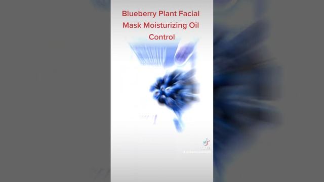 Blueberry Plant Facial Mask Moisturizing Oil Control