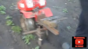 Междурядная обработка картофеля мотоблоком