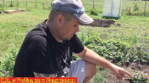 Обзор светильников садовых на солнечных батарейках с Fix Price.Фонари садовые с Fix Price.