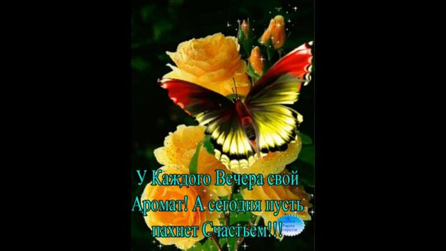 Добрый вечер Ustinova Когда Мы Уйдем смотреть онлайн