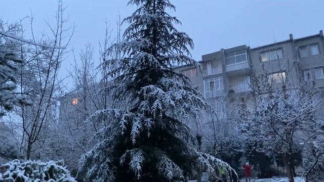 Домашний творог быстро и легко ? Снег в Турции ❄️ Покупки смотреть онлайн