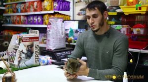 КАК УХАЖИВАТЬ ЗА КРОЛИКАМИ