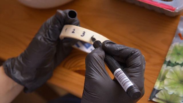 #2 ПОСЕВ ПЕТУНИИ смотреть онлайн