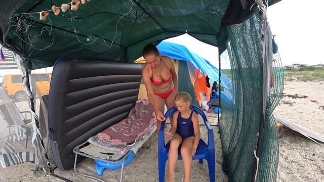 Так близко дельфинов ты ещё не видел...наша жизнь на пляже!!! смотреть онлайн