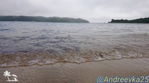 Лили проливные дожди, Андреевка, август 2019