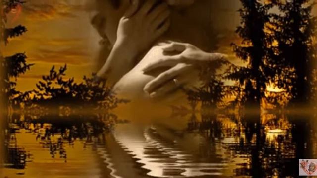 Я тебя от себя отпускаю ... Светлана Дэн, муз. и исп. С. Фрумович #СамуилФрумович смотреть онлайн