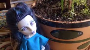 В.Р.Цой/ДЕРЕВО/Нина Карлсон