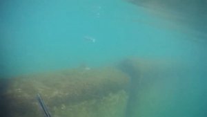 подводная охота на лобана в хитром месте