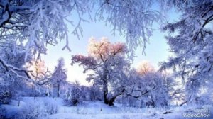 (10)....Первый снег... исполн. 5sta-family...