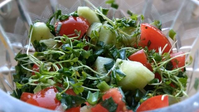 ЧТО МОЖНО И НУЖНО САЖАТЬ ПОД ЗИМУ смотреть онлайн