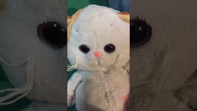 Феликс и его семья. Феликс говорит?! Сейчас всё узнаете