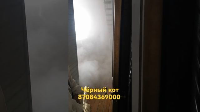 травля тараканов в срубе