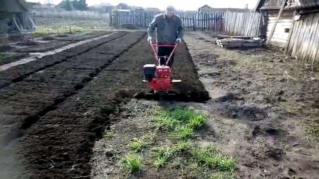 Культивация мотоблоком 13л.с.