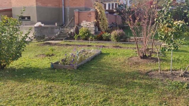 НОВЫЙ Забор и осенние цветы 3 октября 2023 г VID 20231003 153010 1 смотреть онлайн