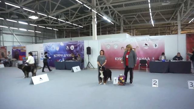 выставка 2021 смотреть онлайн