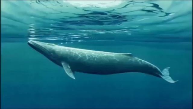 Луна дала ответ (9 часть): «Доверительная беседа» смотреть онлайн