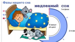 Почему мы видим сны?