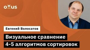 Визуальное сравнение 4-5 алгоритмов сортировок // Демо-занятие курса «Алгоритмы и структуры данных»