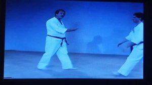 COMBAT SHOTOKAN VIDEO 1 STANCES AND FOOTWORK EMIL FARKAS