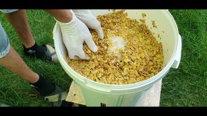 Шардоне и мускат Оттонель 2 часть.Белое вино по красному