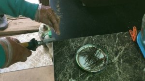 Самодельные шпильки для усов земляники