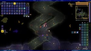 Touhou and Terraria Calamity (8/16/2022)