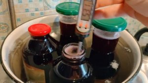 Пастеризация вина из черноплодной рябины.
