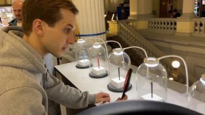 Музей ТИТИКАКА в ПЕТЕРБУРГЕ | Что стоит посетить в Питере?